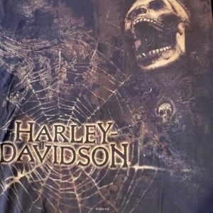 Men's Harley Davidson Tee, xl